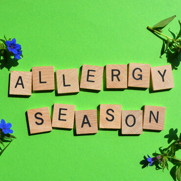 How to Prepare for Allergy Season